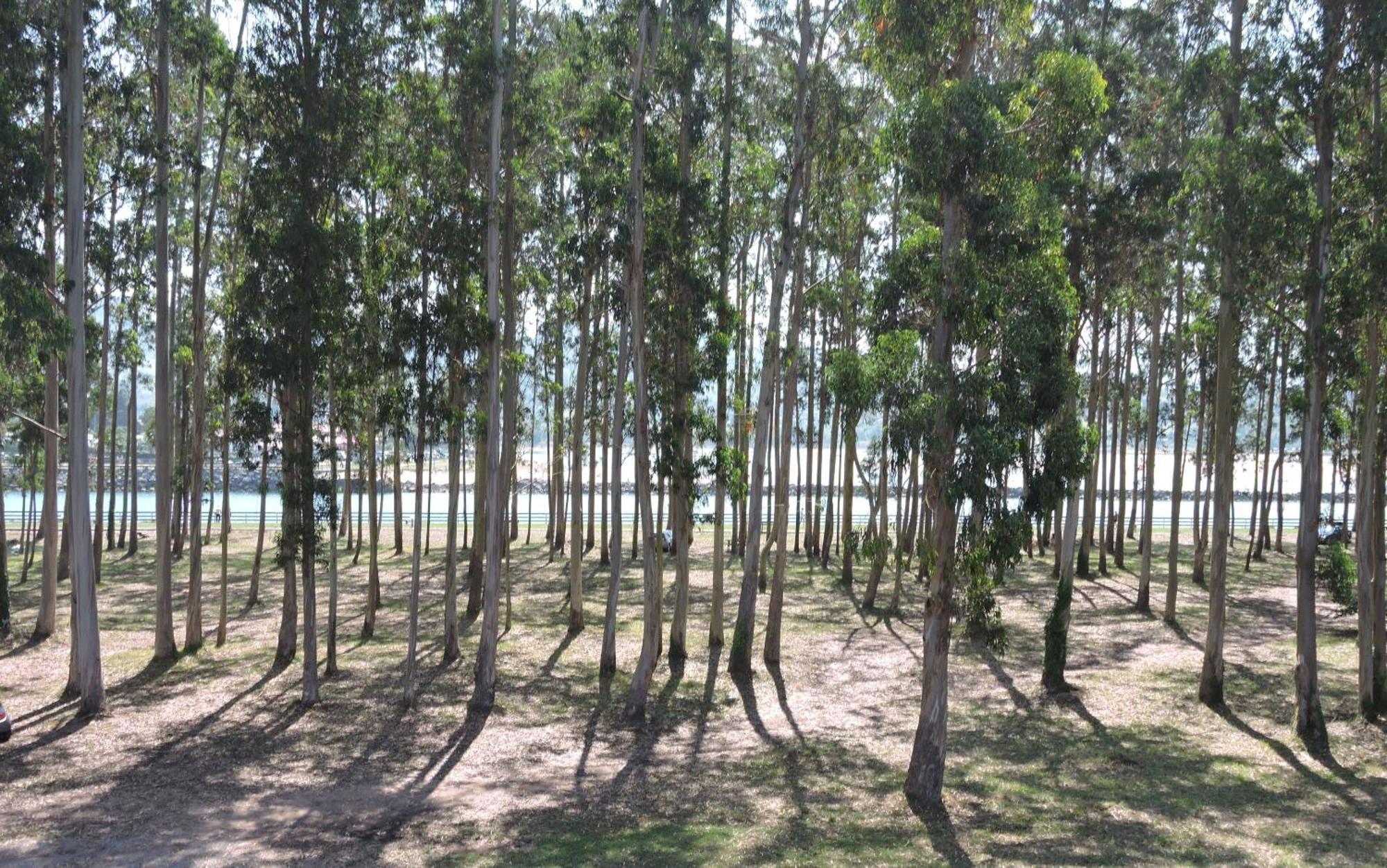 Apartamento Pie De Playa, El Puntal-Villaviciosa Villaviciosa  Zewnętrze zdjęcie